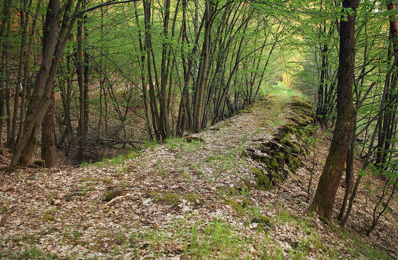 Koňská dráha Praha–Lány