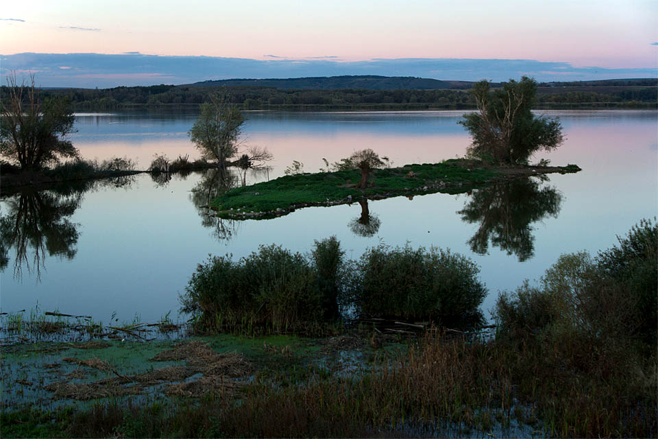 Malé ostrůvky vyčnívající z bažin pod břehem byly kdysi drobnými návršími zaniklé obce Mušova.