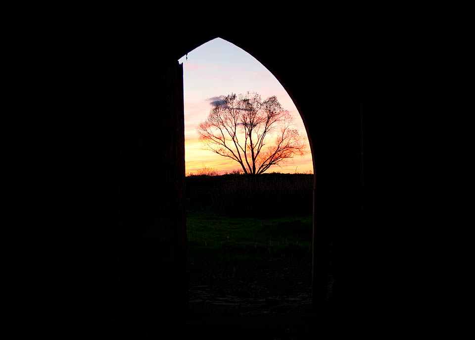 Jako bychom hleděli z koptského chrámu do koruny afrického baobabu.