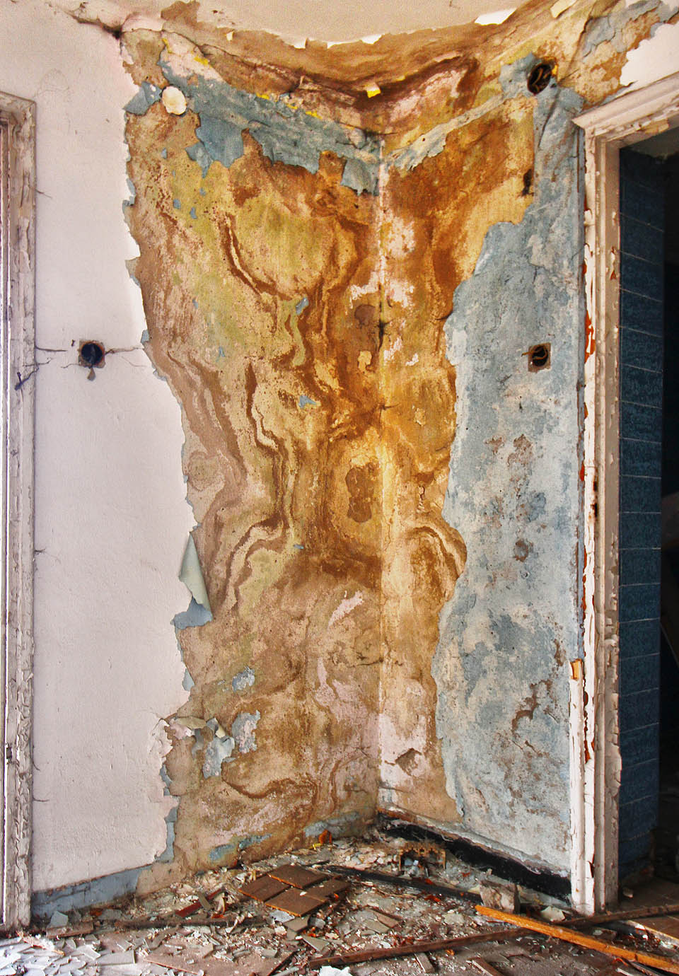 Dnes zdobí interiéry hotelů v Kozubniku už jenom příroda.