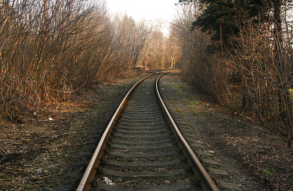 Spojovací kolej č. 905 se prodírá hustým křovím nad ústím tunelu staré Ponávky, na místě bývalého rybníka, který byl vysušen před stavbou moderního nádraží.