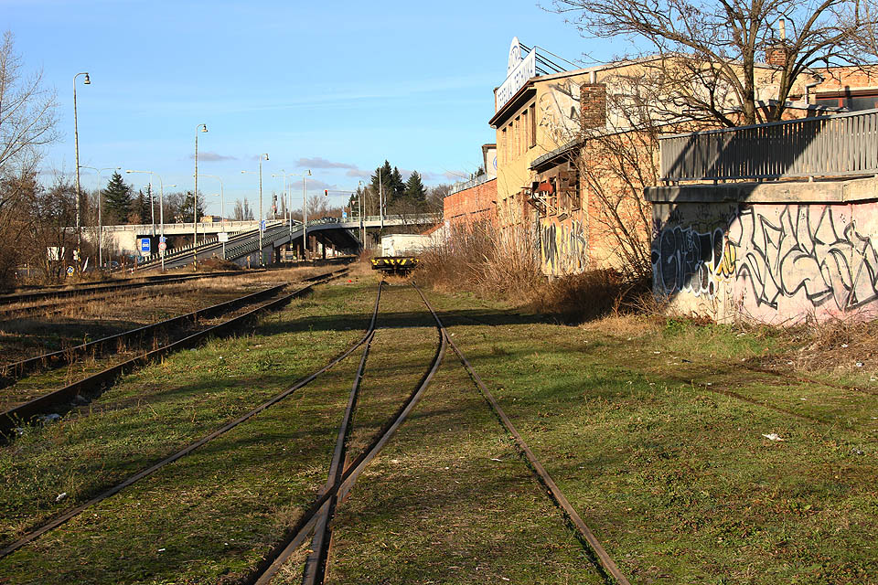 Mezi žulovými dlažebními kostkami raší tráva - koleje vypadají, jako by vedly měkkou mechovou peřinkou.