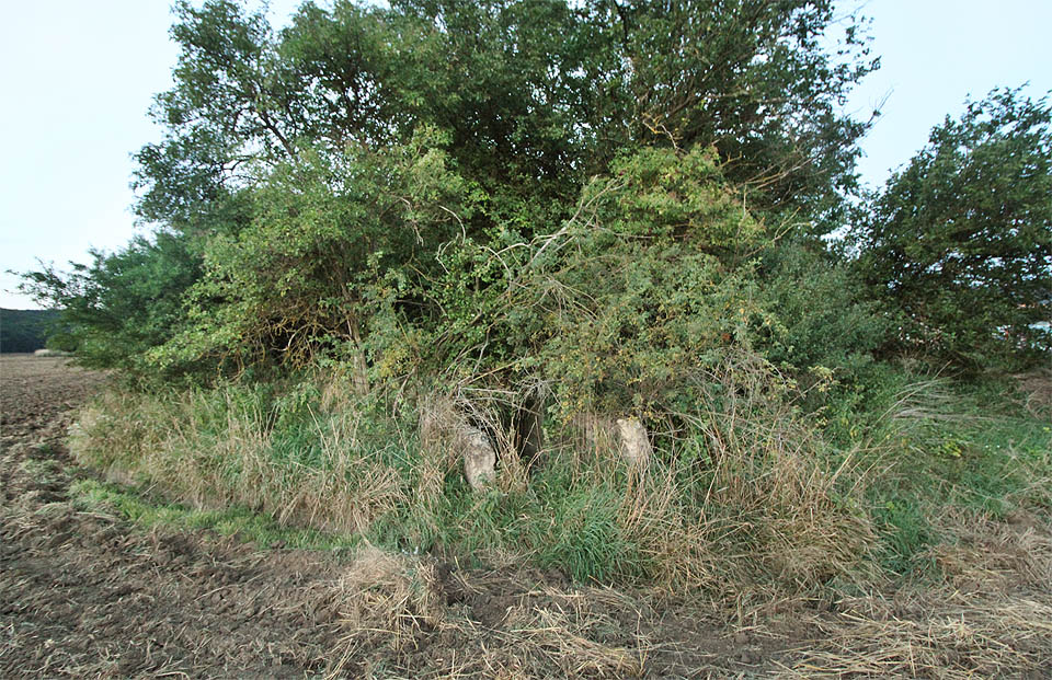 Vstup do krytu je skutečně ukrytý. Nehledá se dobře ani za plného denního světla, natož pak za soumraku.