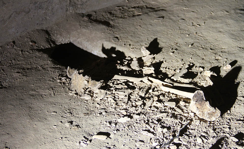 V době rekonstrukce kostnice pod kostelem svatého Jakuba (2011) byl kryt používán pro skladování ostatků zemřelých. Přesto, že posléze došlo k důkladnému vyklizení krytu, několik lidských kostí zapadlo do otvorů v podlaze, ze kterých je po létech vyhrabali hlodavci. Kryt tak má svoje strašidelné tajemství.