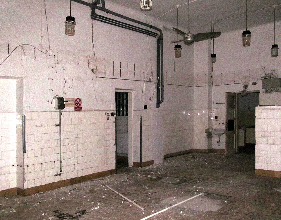 Velkolepá kuchyně je z části demontována, nepostrádá však nic ze svého půvabu. Jaké to asi bylo, vařit pacintům zde hluboko v lesích?