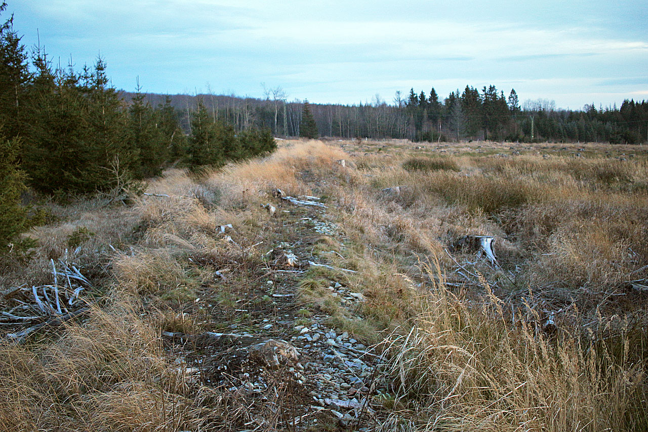 Lesní dráha Dětřichov nad Bystřicí – Volárna