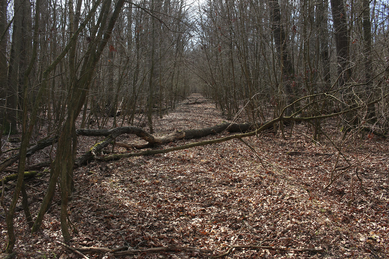 Vzorně zachovalý a ihned patrný je násep drážky jížně od Doubravky, kde po její trase výjímečně nevede lesní cesta.