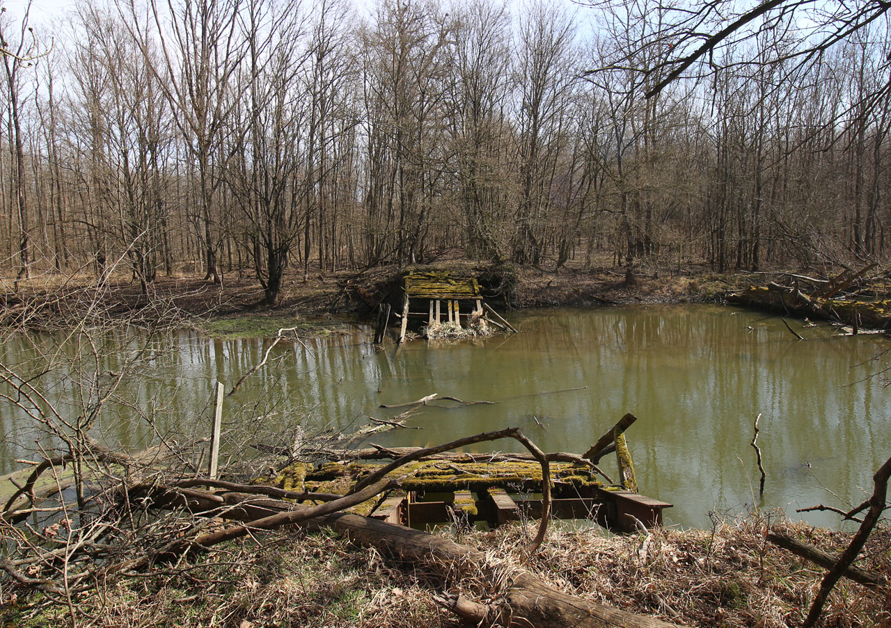 Zřejmě největší zachovalá památka na dřevařskou železnici: 55 m dlouhý ocelový most přes Kyjovku. Zkorodované nosníky se ale prohnuly natolik, že dnes leží svým středem na bahnitém dně řeky.