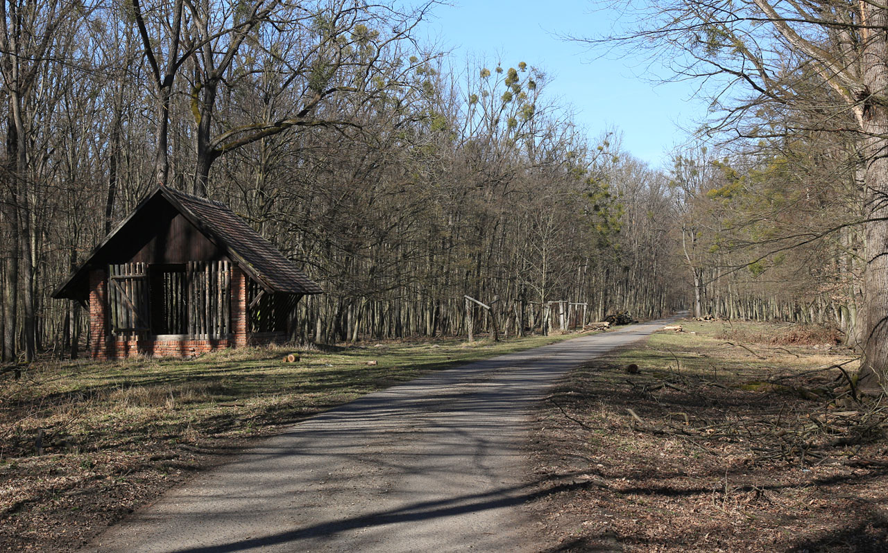V severní části Jiklínské cesty se drážka dostávala do ohromných neosídlených území. Na člověka tu i ve slunečném dni padá tíseň z nekonečné plochy lesů.