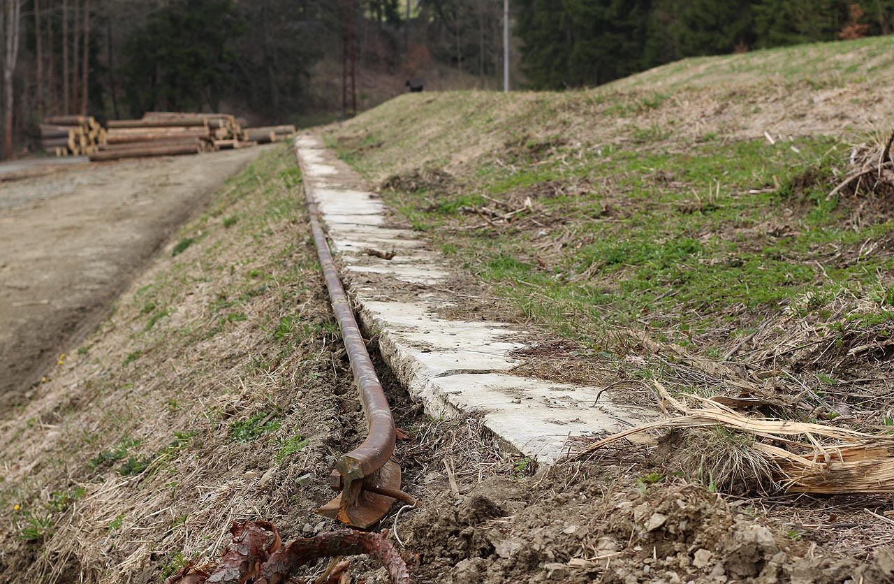 Lesní železnice Branná–Čerňava