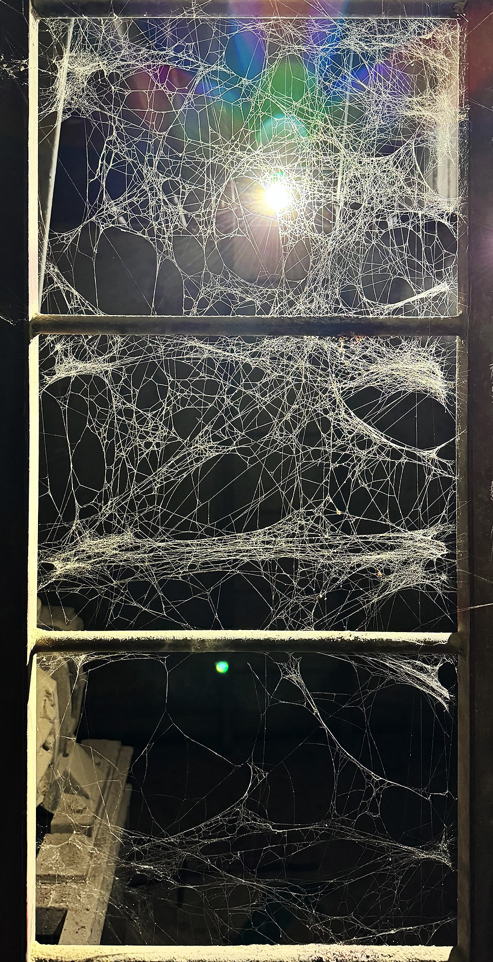 Kdo by nechtěl sešplhávat do hloubky po tak krásně opředeném žebříku?