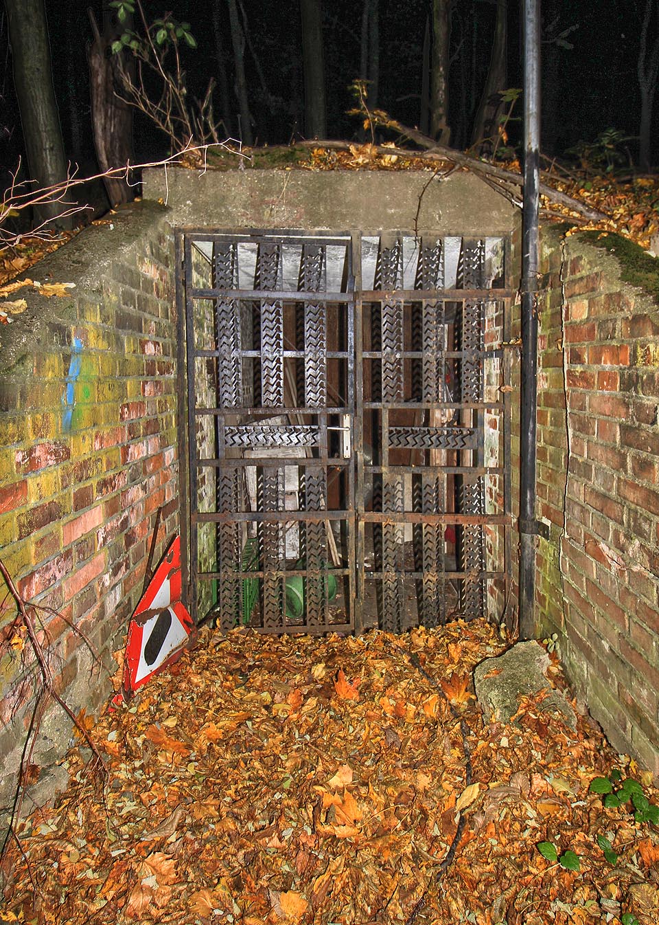 Vstup je relativně nenápadně ukryt v lese.