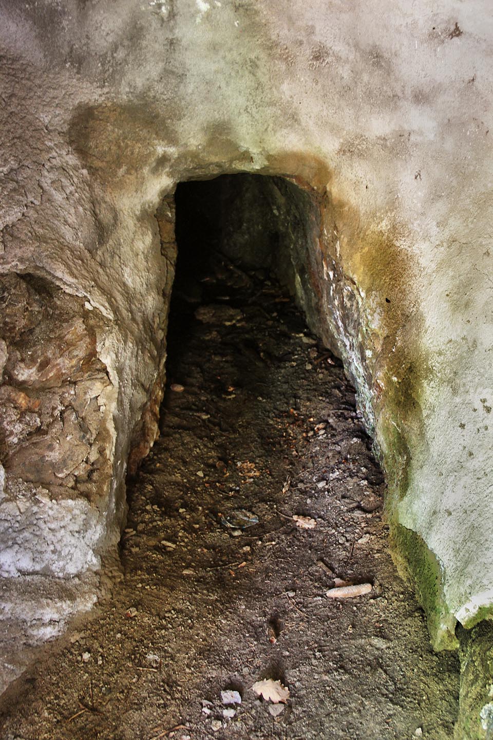 Samotný vstup do historické štoly za mříží je opatřen betonovým nástřikem pro zpevnění opukové skály. Samotný vstup do historické štoly za mříží je opatřen betonovým nástřikem pro zpevnění opukové skály.