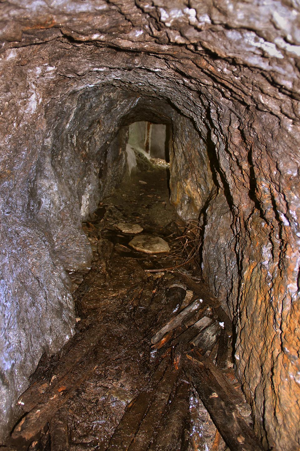 S jistou opatrností je však vstup možný (pohled zpět k ústí Mertovy štoly). S jistou opatrností je však vstup možný (pohled zpět k ústí Mertovy štoly).
