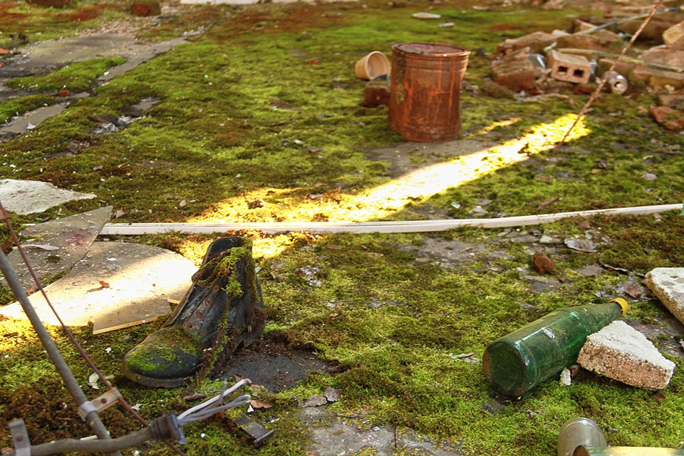 Třeba boty, které by mohla bez okolků zařadit do svého sortimentu firma Moosbacher - chůze jako po mechu.