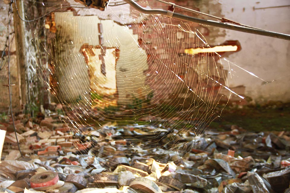 Jediný, kdo se na počátku 3. tisíciletí stará o dobrý stav svých budov, jsou v závodě pavouci. Jejich sítě jsou rozhodně v lepším stavu, než továrna.