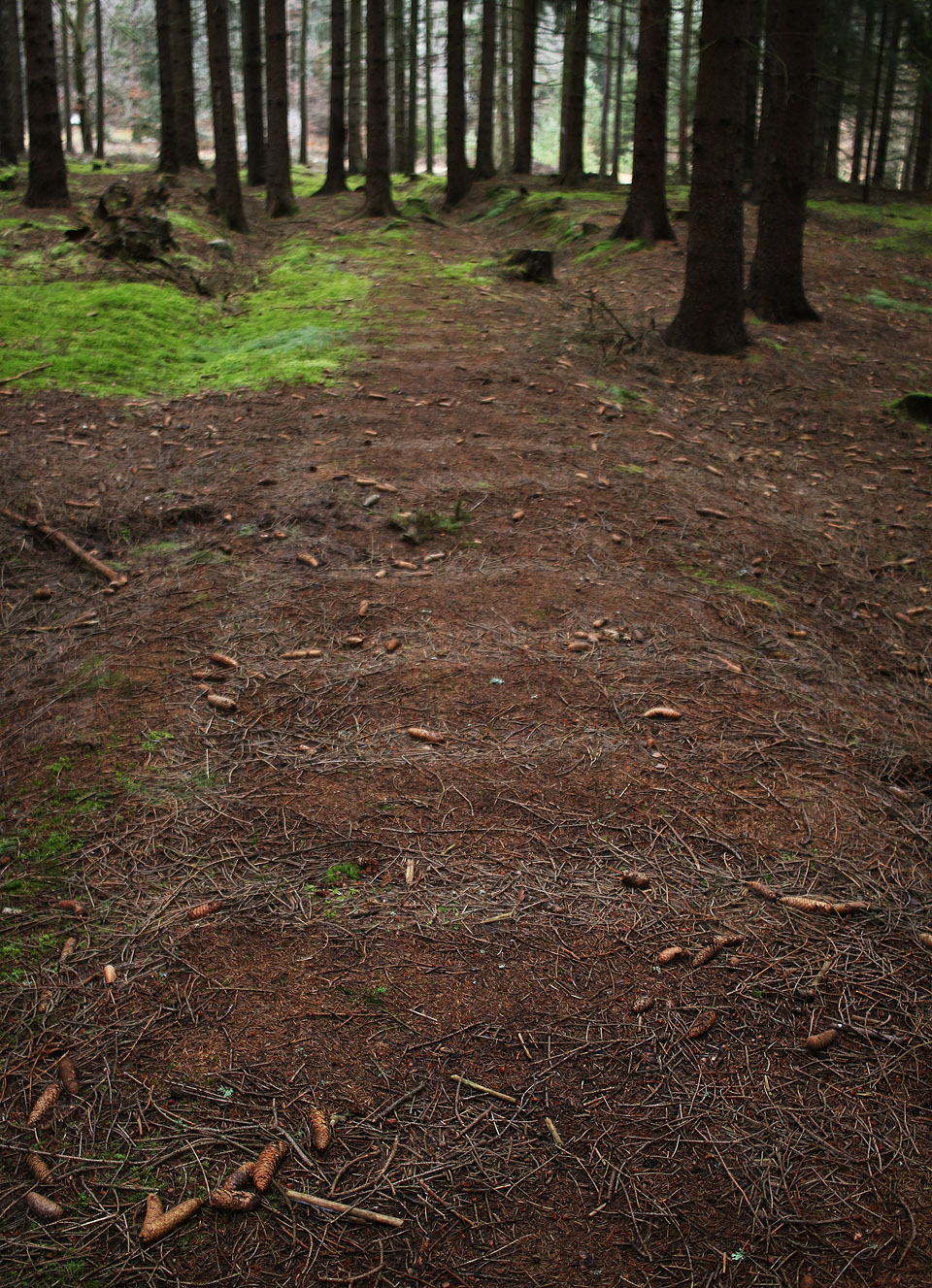 A po dešti jsou i po takřka století výborně vidět i prohlubně po jednotlivých pražcích.