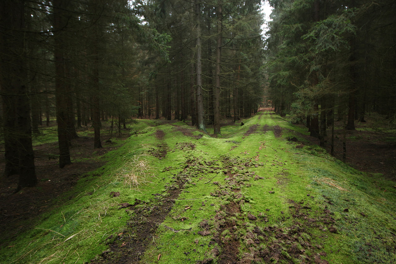 Lesní železnice u Řevničova