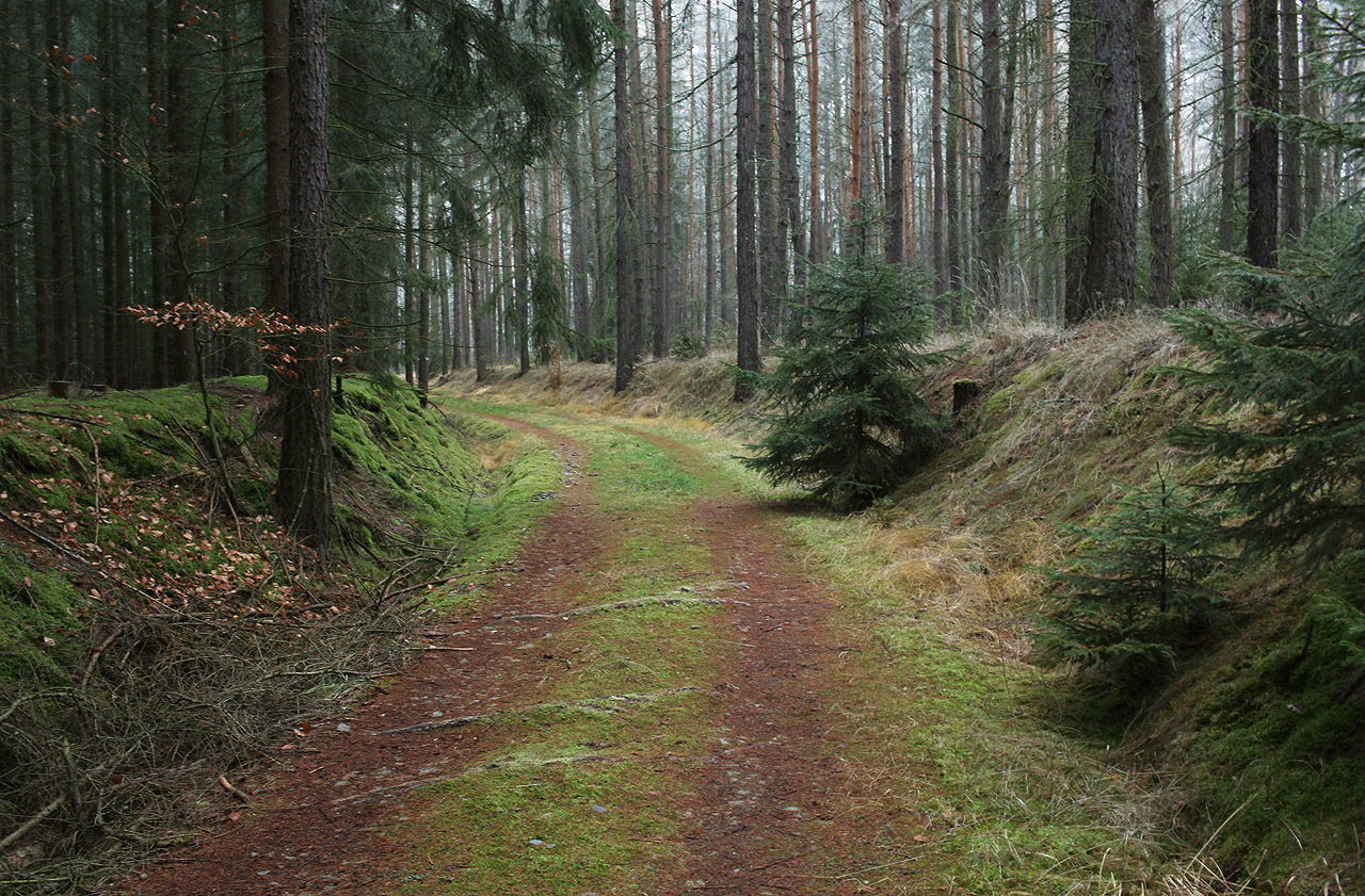 V první části úzkokolejky před křížením s dráhou do Chomutova vede trať na vzorném tělese, buď na nízkých náspech nebo v mělkých zářezech.
