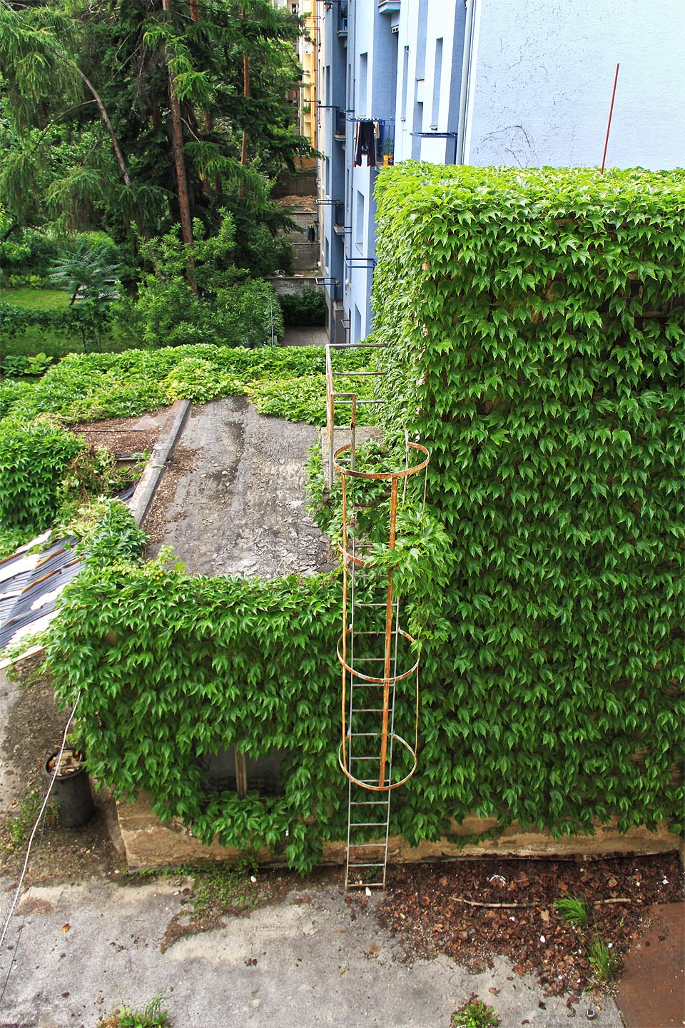 Ve druhém dvoře lze najít ještě několik dalších přístavků patřících k areálu - ty však nemilosrdně požírá matka příroda.