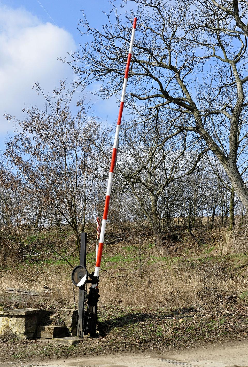 Foto: Jan Rybníček.