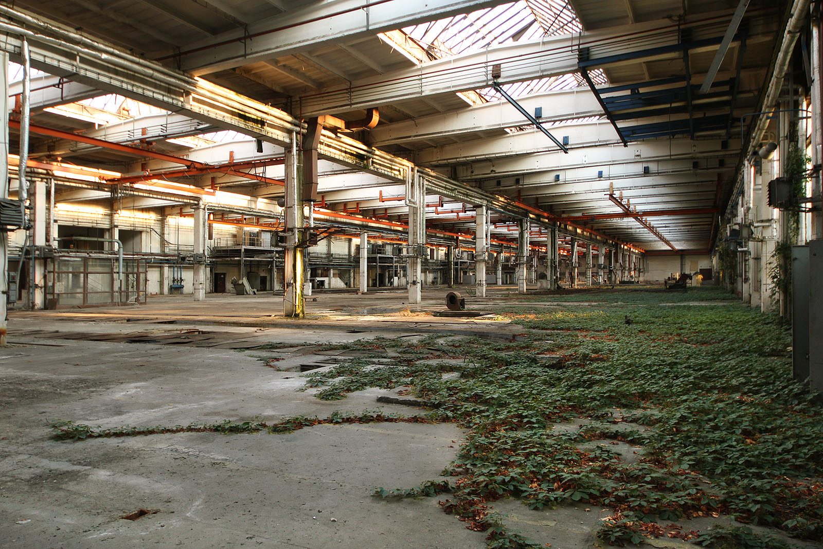 Některými skleněnými tabulkami ve střešních světlících dopadá na šlahouny břečťanu vláha, takže nemusí růst jen z podzemních nádrží zčernalého syntetického oleje. Některými skleněnými tabulkami ve střešních světlících dopadá na šlahouny břečťanu vláha, takže nemusí růst jen z podzemních nádrží zčernalého syntetického oleje.