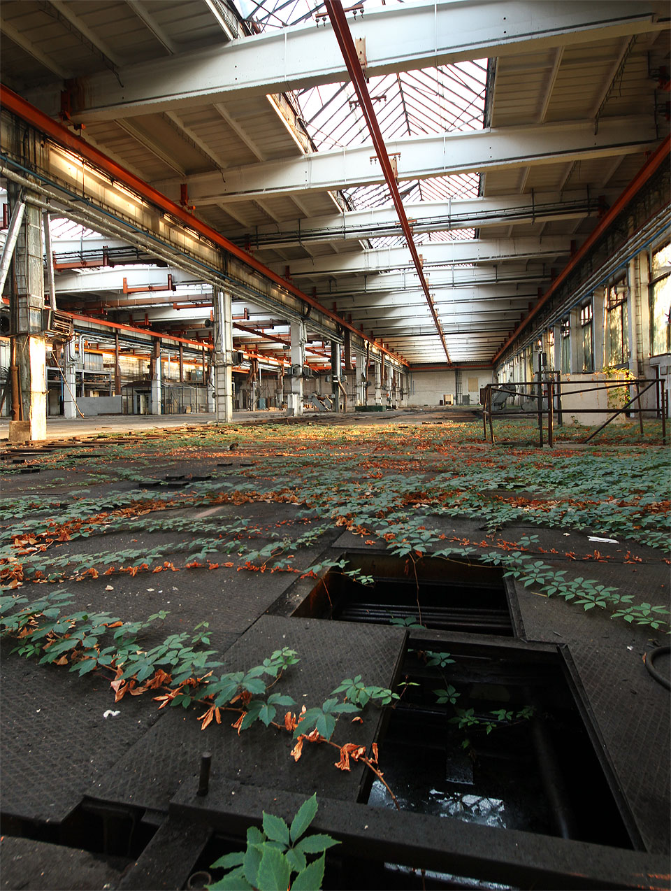 Oleje je tu dostatek na celoroční fritování hranolků pro celé Brno. Hloubku nádrží neznáme a tak se raději snažíme nestoupnout vedle. Oleje je tu dostatek na celoroční fritování hranolků pro celé Brno. Hloubku nádrží neznáme a tak se raději snažíme nestoupnout vedle.