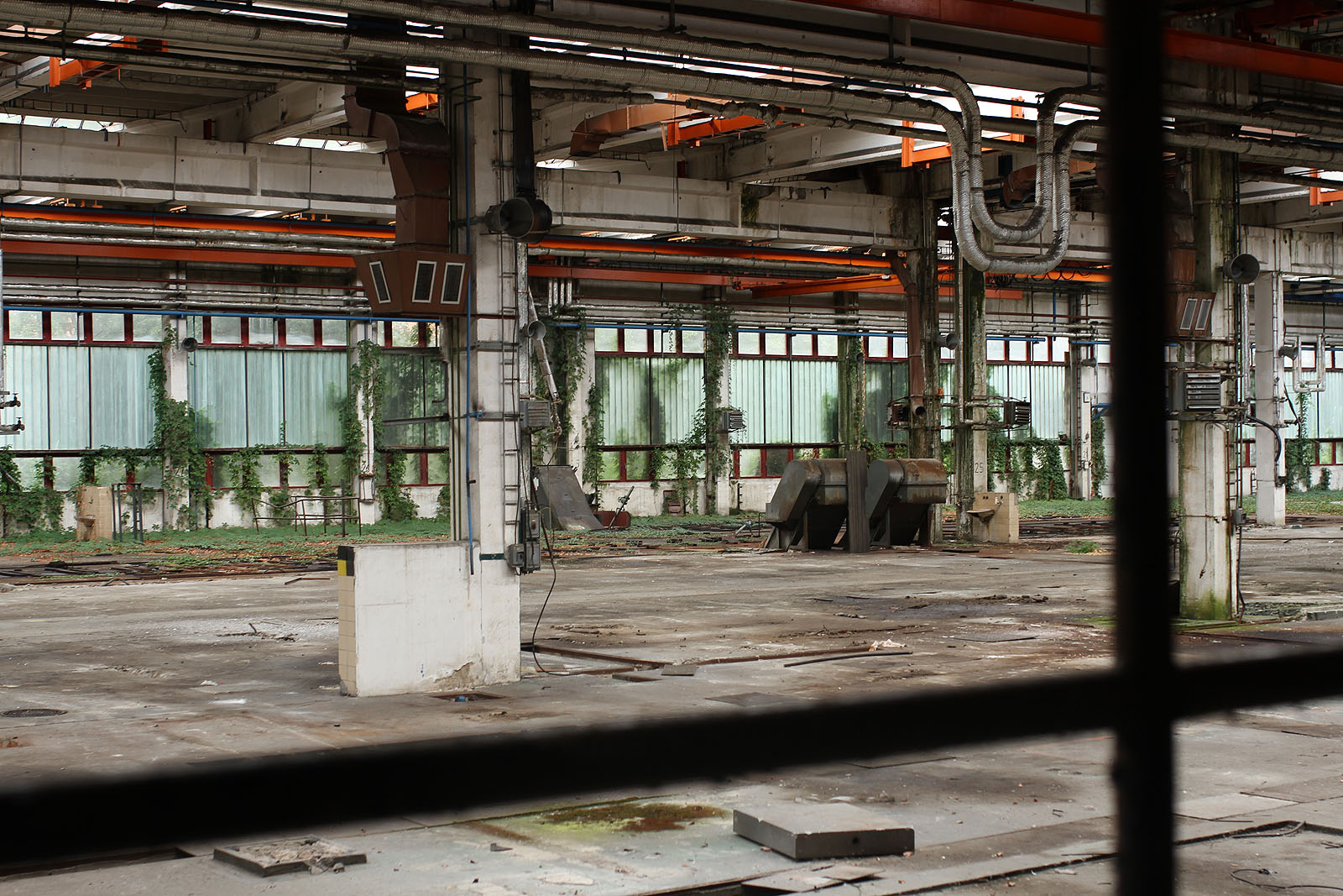 Největší letní zahrada v Brně odevzdaně čeká na svůj osud. Největší letní zahrada v Brně odevzdaně čeká na svůj osud.