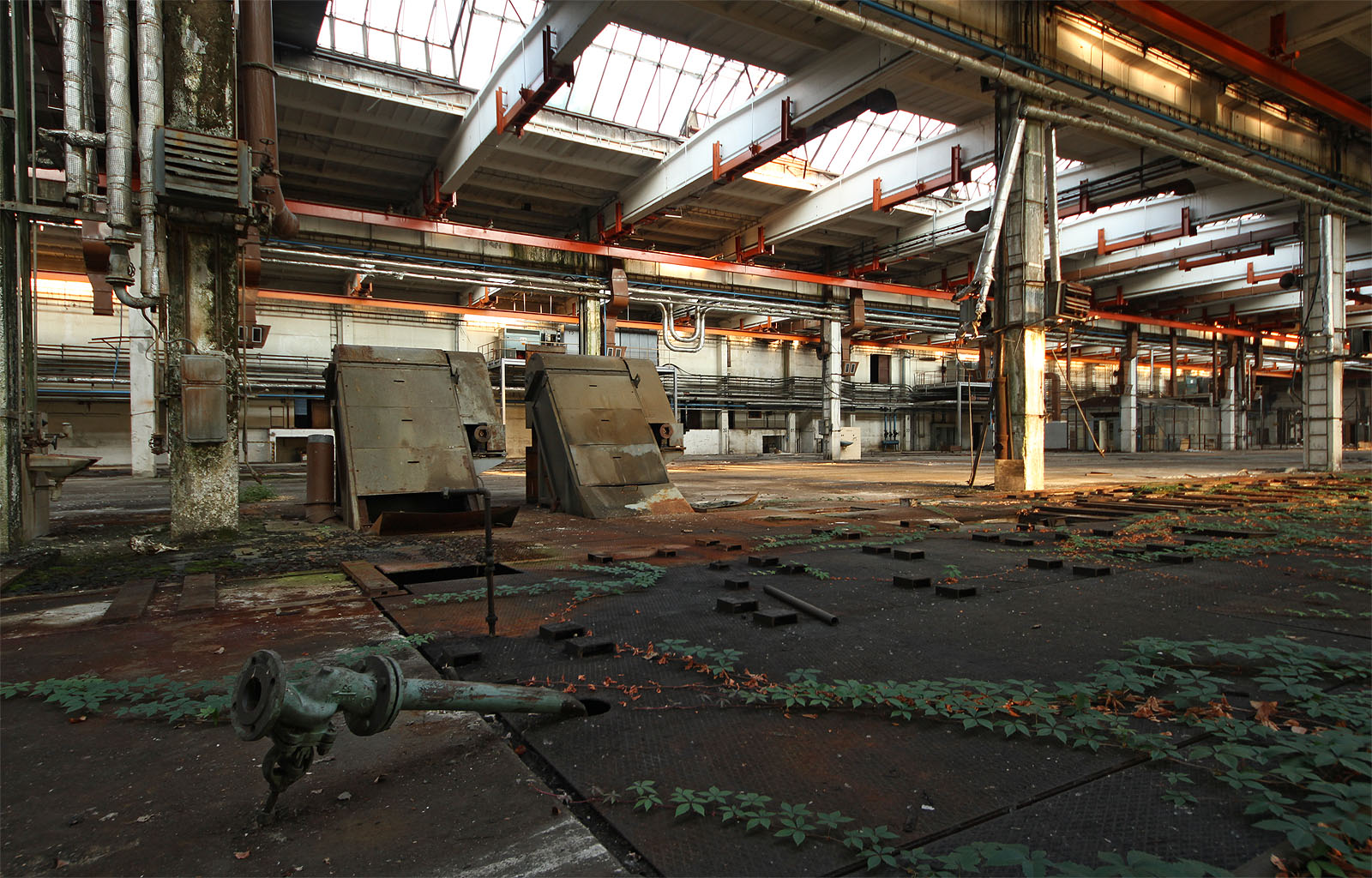 Barevné kombinace kovových konstrukcí, blankytu oblohy a popínavých rostlin nás nepřestávají fascinovat. Barevné kombinace kovových konstrukcí, blankytu oblohy a popínavých rostlin nás nepřestávají fascinovat.