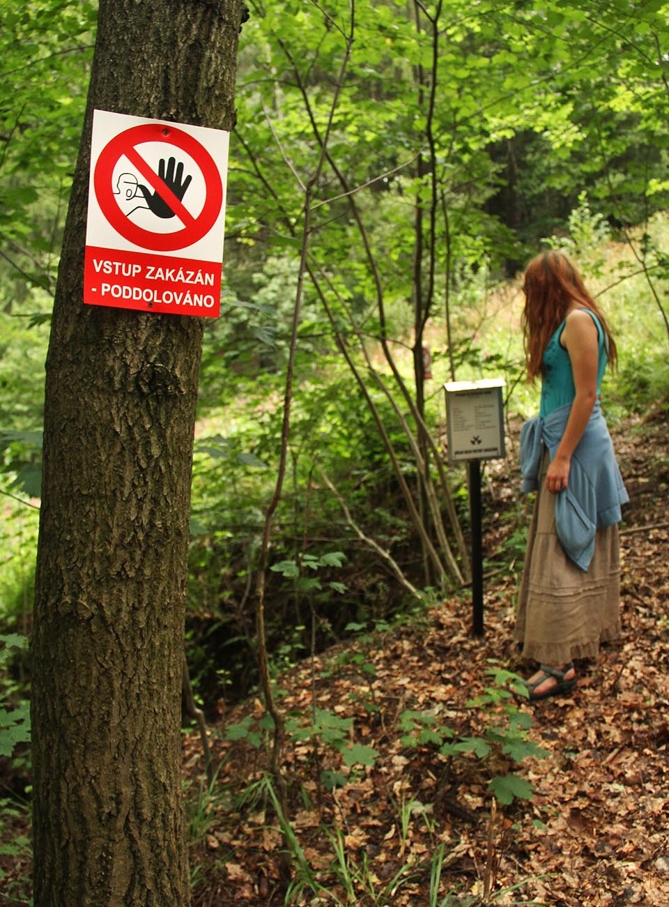 Nedaleko Stříbrných Hor na katastru města Přibyslavi se ve svahu za bývalým lomem u Utína nachází vstup do středověké Nebeseké štoly.