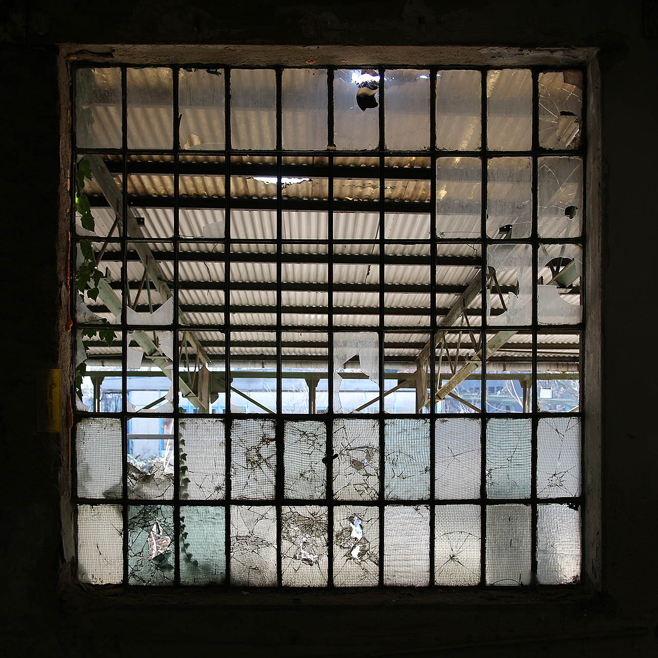 Které skleněné tabulky ještě pamatují příchod raněných z 1. světové války do zdejších hal? Které pamatují hospodářskou krizi a další světovovu válku? Nekvalitně vyrobené drátosklo za socializmu? Porevoluční dopotřebování zásob z 90. let? A které jsou jen pár let staré?