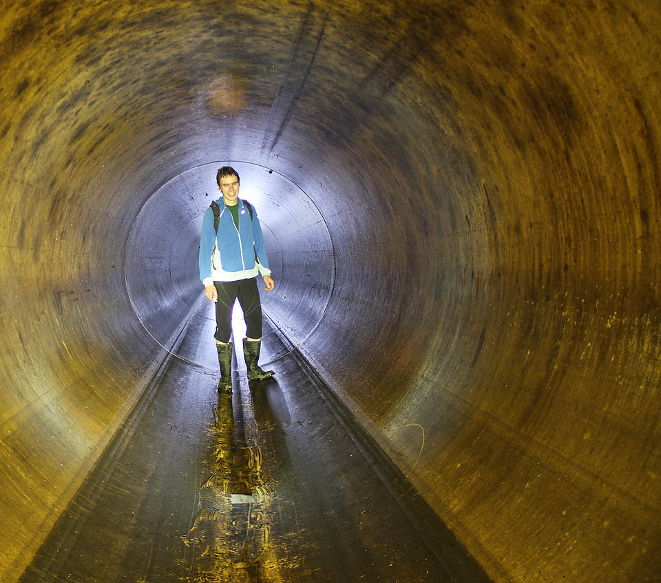 Ostře žlutá barva působí dojmem, jako by člověk procházel obřím plastovým husím krkem.
