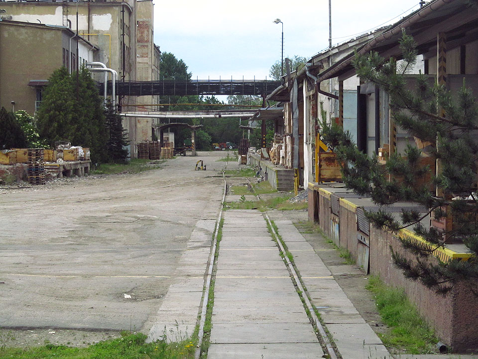 Železniční vlečka hrála v průěhu desetiletí významnou roli při výrobě i rozšiřování papírny. Pojednává o ní proto samostatný článek.