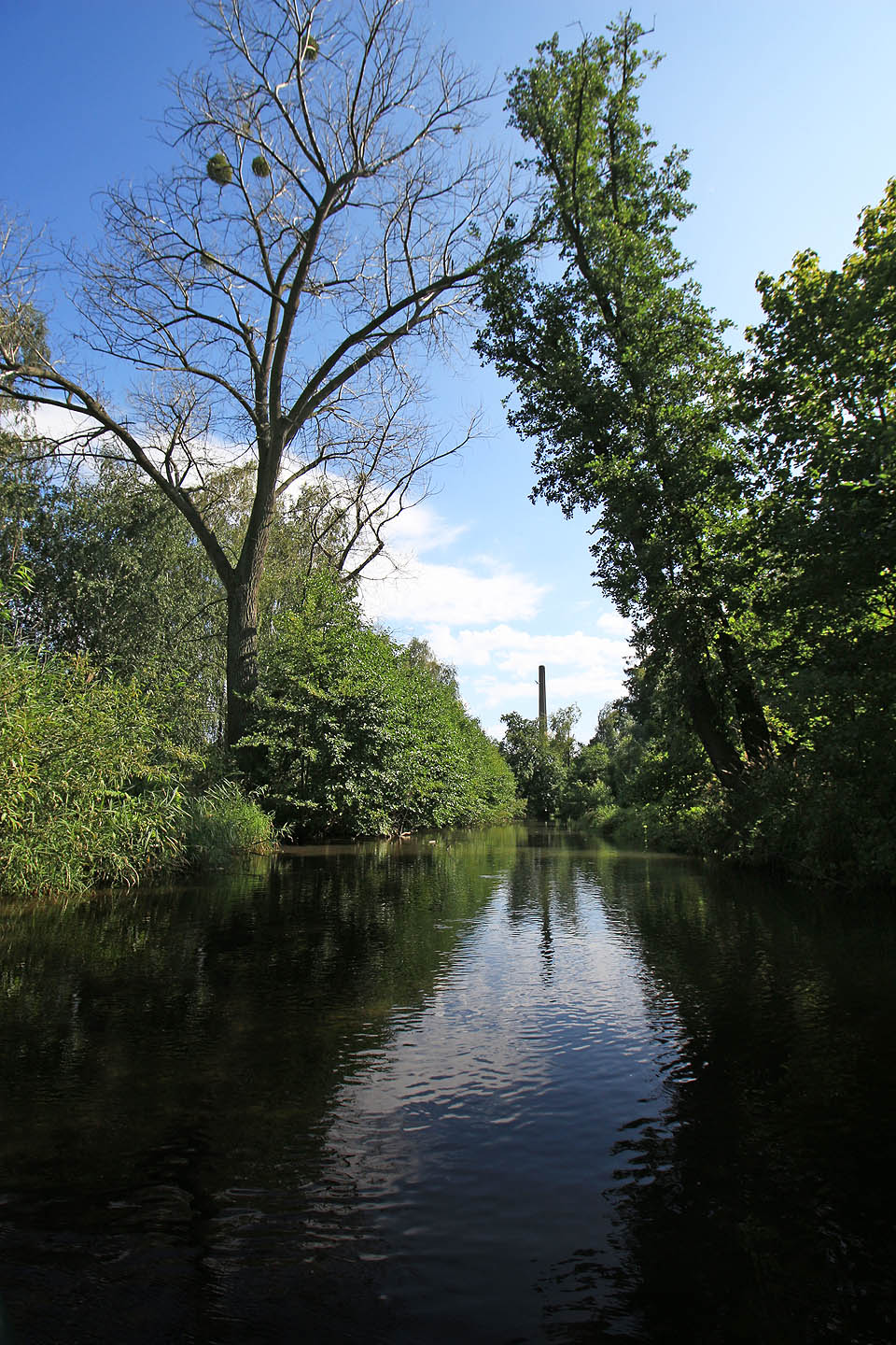 Do továrny se tentokrát vydáme méně obvyklou cestou - po tajemném náhonu, který je dávnověkým ramenem řeky Moravy, proplétajícím se lužními lesy. Náhon je dokonale ukryt v houští a bez lodi se k němu vůbec nedá přiblížit. Pod černou hladinou se skrývá několikametrová vrstva bahna, ze kterého tu a tam unikají bublinky. Místo nahání strach, ale komín v dálce nám dodává odvahy.