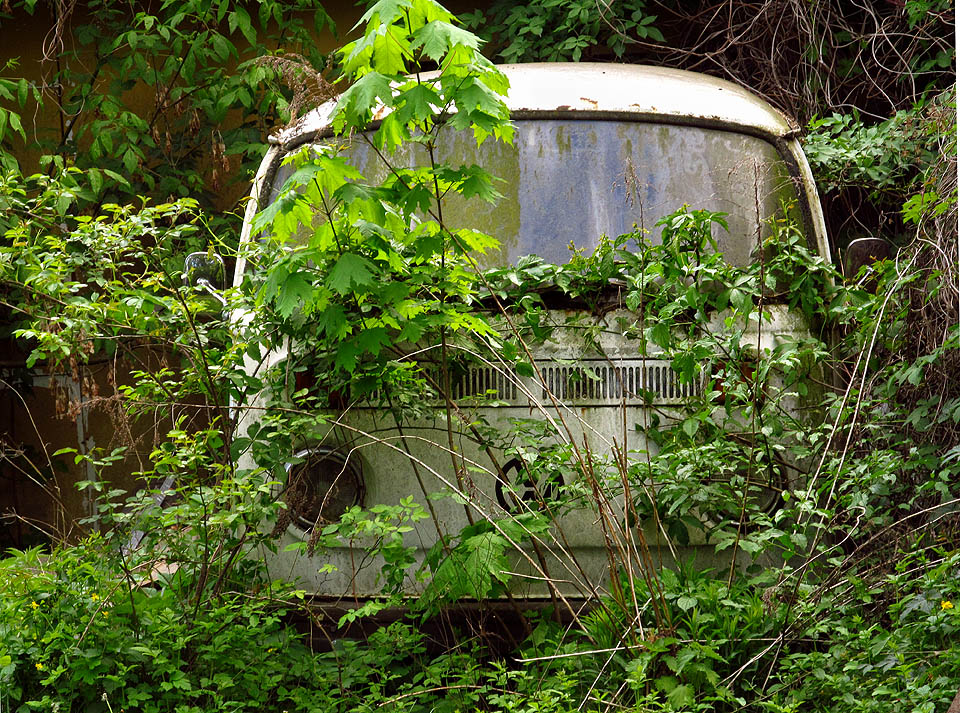 Stejně jako všechny kolonie v Brně, uchovává si i Písečník svá romantická tajemství.