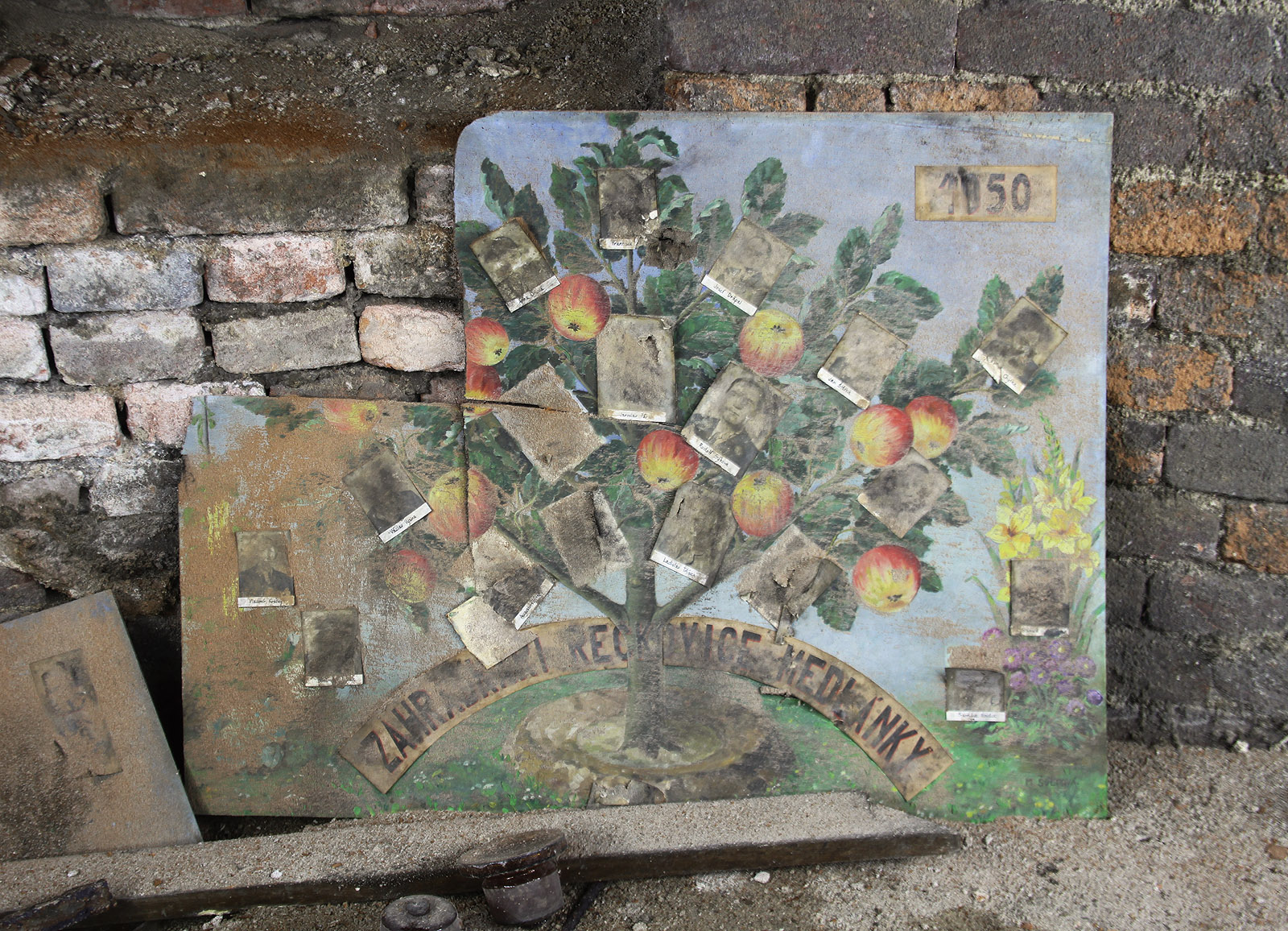 V roce 1950 se tablem nehrdobili jen maturanti ale také zahrádkáři z městské čtvrti Řečkovice-Medlánky.