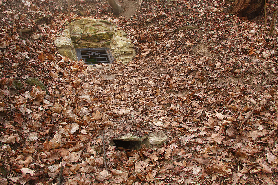 Od roku 2016 je portál díky Ministerstvu životního prostředí zajištěn bytelnou a současně zdobnou ocelovou mříží.