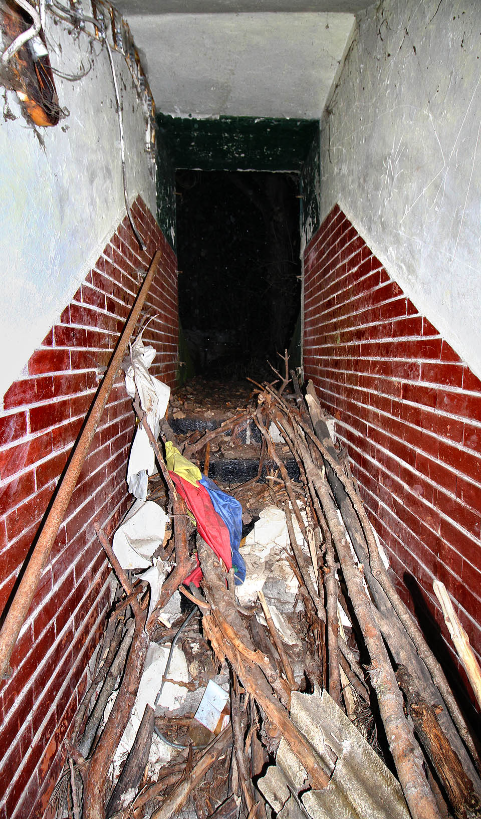 Nad zasypaným schodištěm se nachází východ do tmavého a vlhkého lesa, ze kterého dýchá chladný, plesnivinou prosáklý vzduch. Probudil ve mě nechtěné a intenzivní vzpomínky na knihu Cesta od McCarthyho.