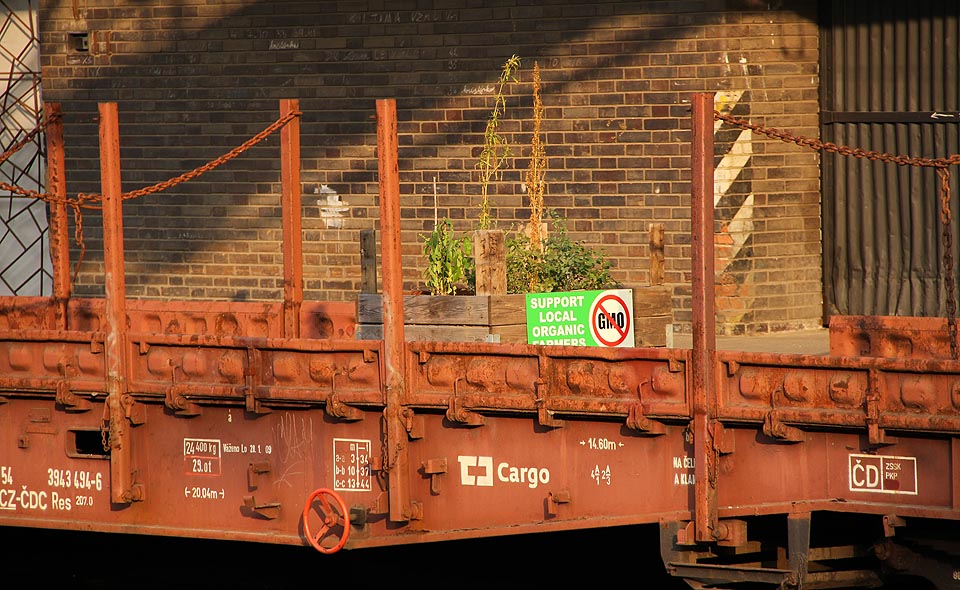 Na plošinových vozech vyrůstá zelenina bez geneticky upravených rysů. Zahrádka uprostřed metropole…