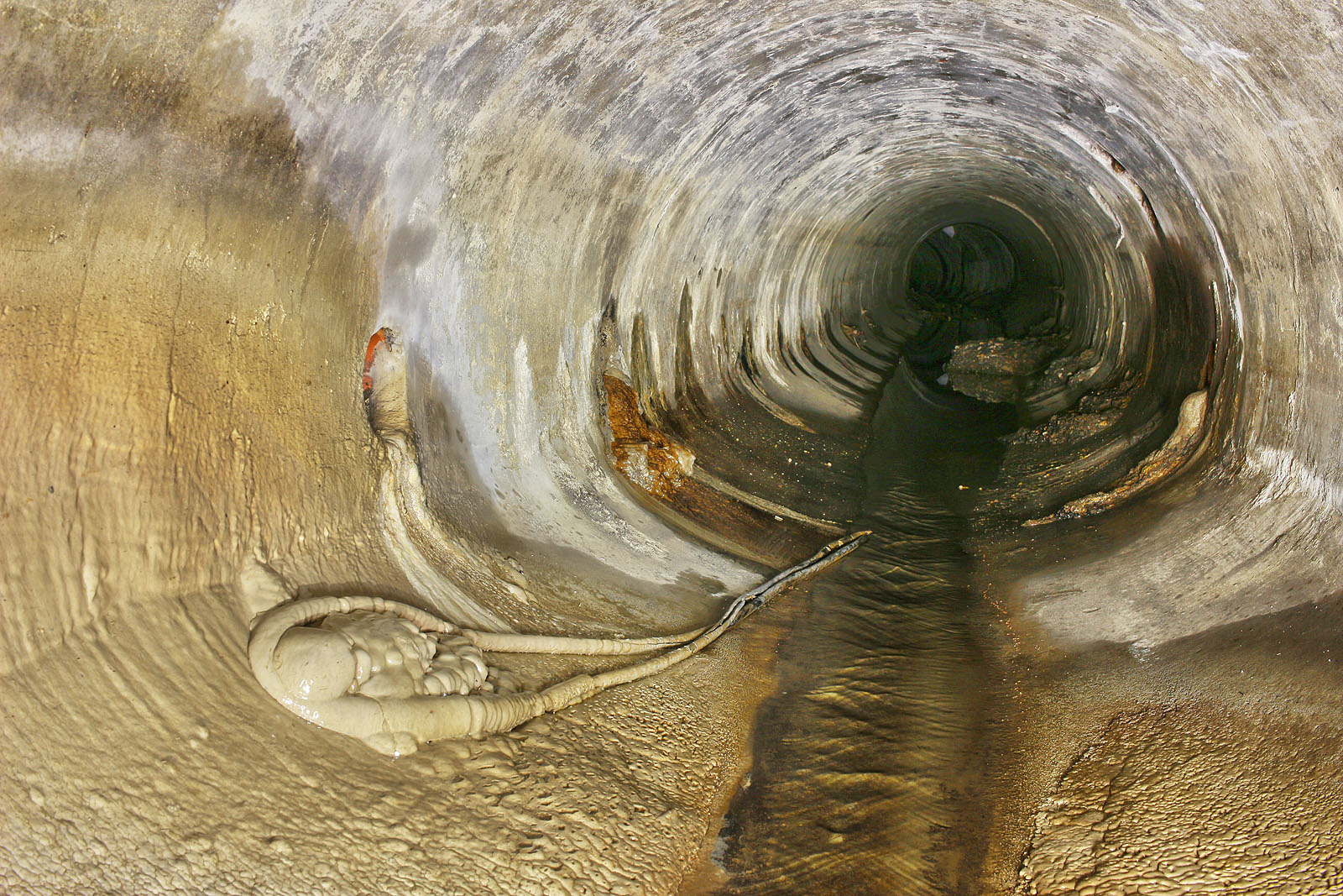 Nejšílenější překvapení ale čeká na návštěvníka v dolní části tunelu, zhruba naproti Saidově ulici. Na počvě se povaluje cosi, co vypadá jako kříženec trilobita s vetřelcem.