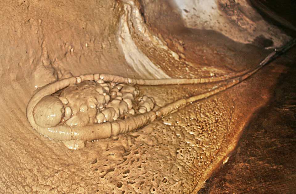 Prostřední tunel Ivanovického potoka