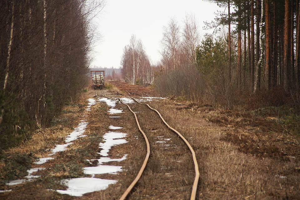 Na konci borovicového lesa se otevírá pohled na nekonečnou plochu rašelinišť. Stojí zde také vůz pro pokládání a vytrhávání kolejnic.