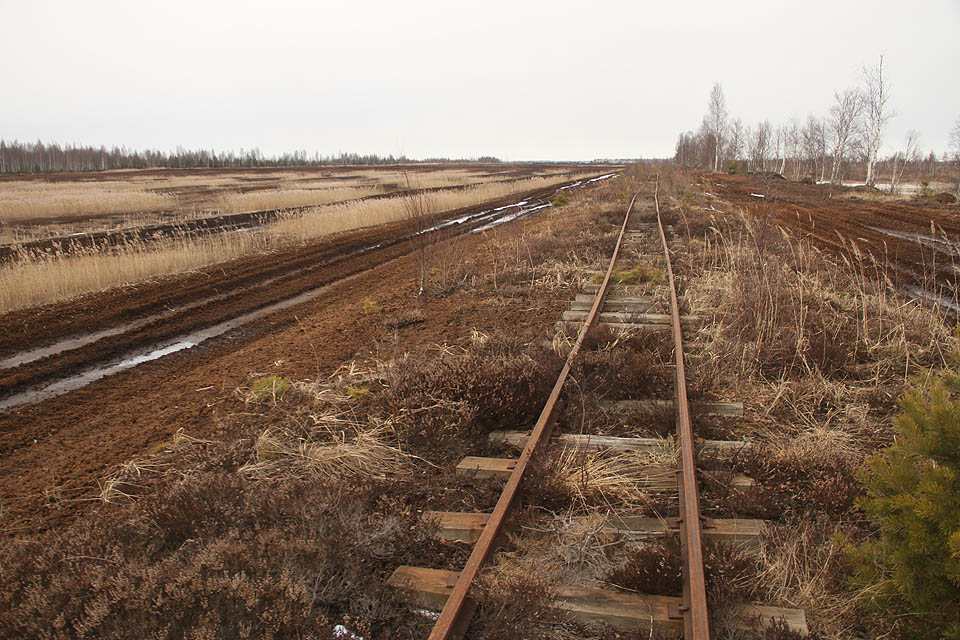 Plocha povrchových dolů se táhne k obzoru, jen sem tam rozrušená několika břízkami. Vedle kolejí železničních vedou souběžně koleje vyježděné v rašelině od aut.