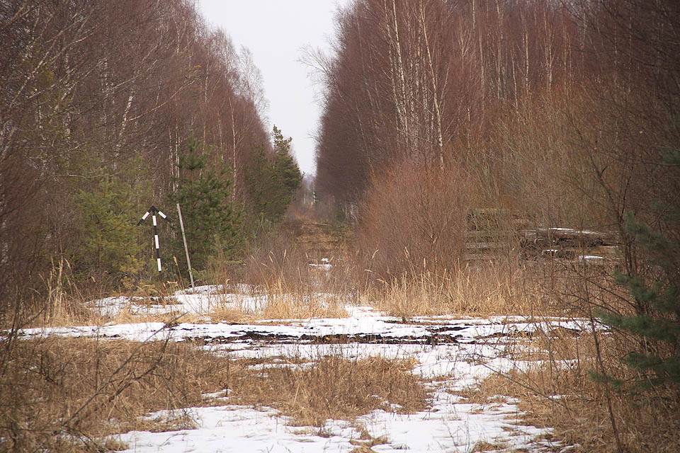 Zde už z většiny tratí zbyly jen náspy a průseky pomalu zarůstající křovím. V tomto místě začínala 30 km dlouhá spojovací trať do Tootsi.