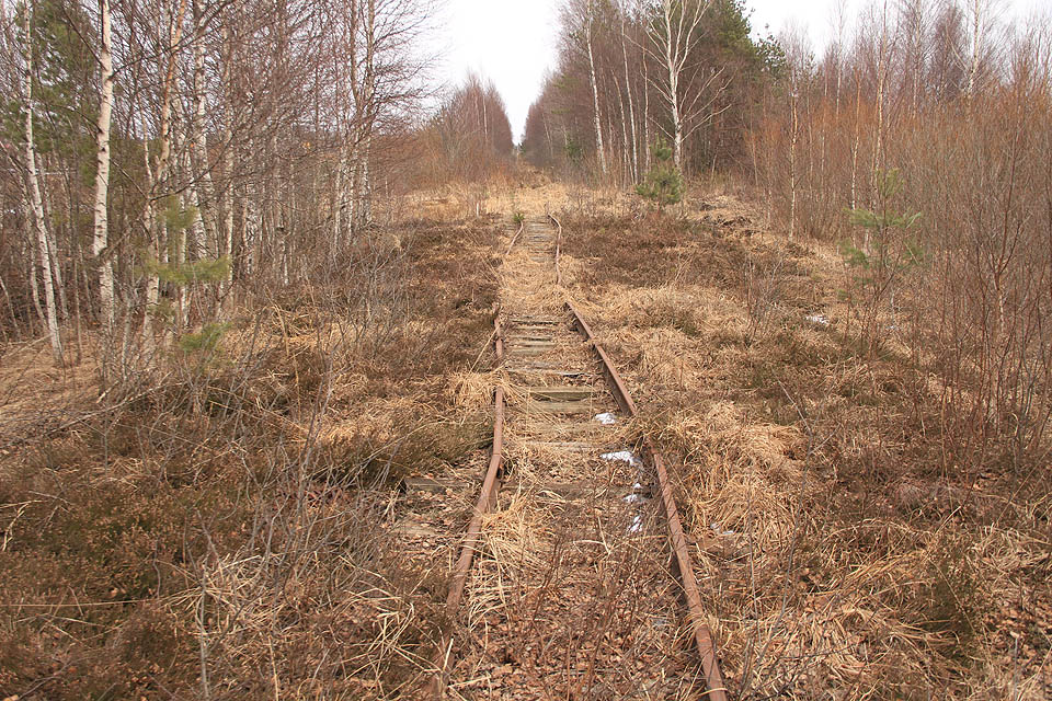 Nestabilní podloží dává subtilním kolejím zabrat. Jízda vlakem by si tady nezadala s horskou drahou.