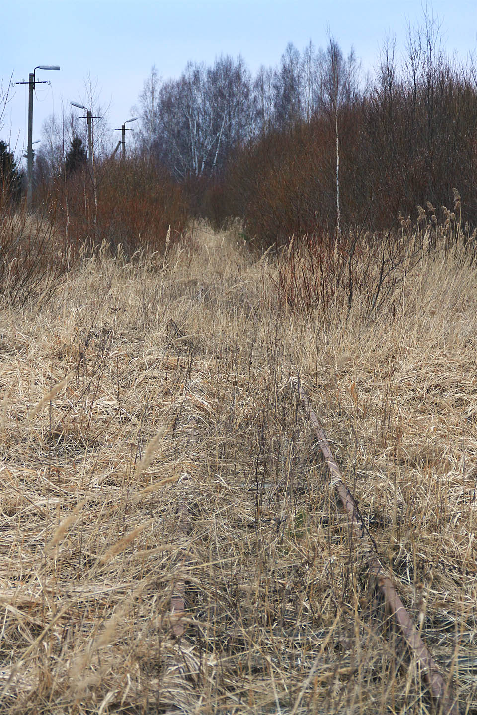 Tak vypadá pokračování trati k rašeliništím. Opodál už koleje končí pod vrstvou trávy a tlejícího listí. Těžba i zpracování rašeliny v Tootsi definitivně skončily.
