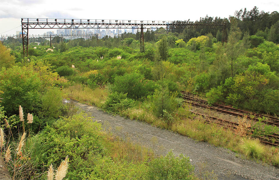 Zarostlé kolejiště je oázou pustiny ve velkoměstě, která hostí divoká zvířata i tábor bezdomovců.