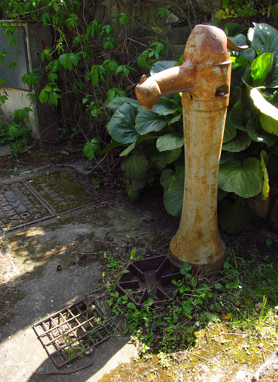 Nepostradatelný hydrant, který nesměl chybět v žádné z kolonií.