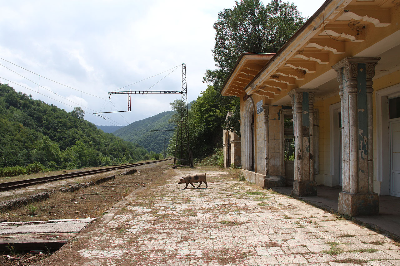 Když stanicí Salieti projíždí vlak, vyjde to nejtlustší prase na první nástupiště a blahosklonně pozoruje jeho průjezd. Chybí mu snad už jen červená čepice.
