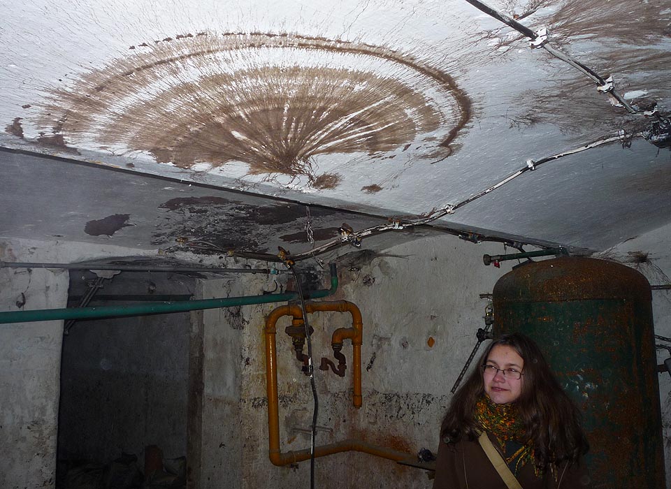 Nejhezčí dílo nyní odvádí plíseň. Jemné krajkoví jejího přediva dorůstá až nadlidských rozměrů.